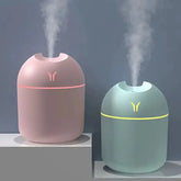 1PC New Chubby Y Humidifier USB Mini Gift Humidifier Car Humidifier