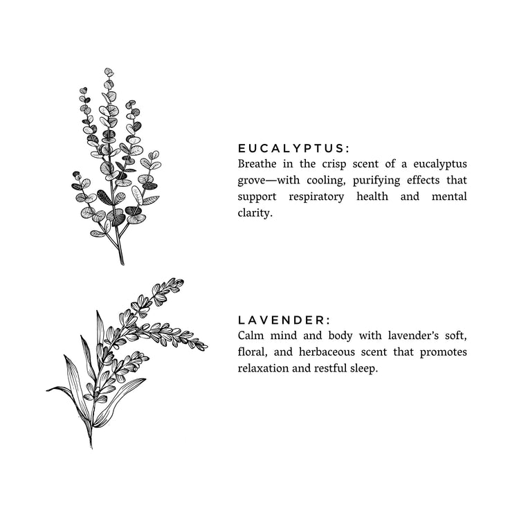 (NEW) Eucalyptus + Lavender - Natural Bar Soap DC-Slow North
